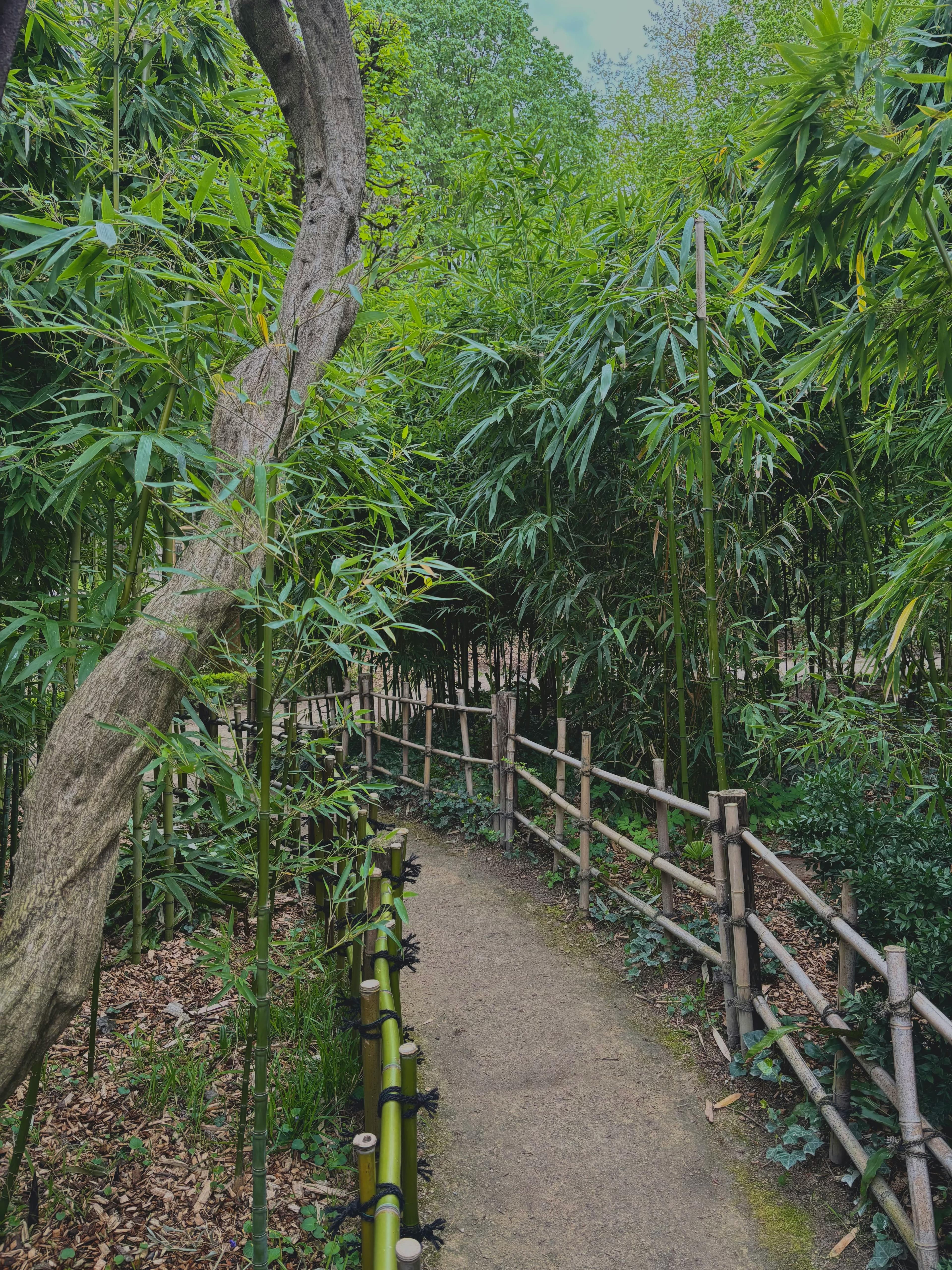 Ecological landscape design integrating native vegetation