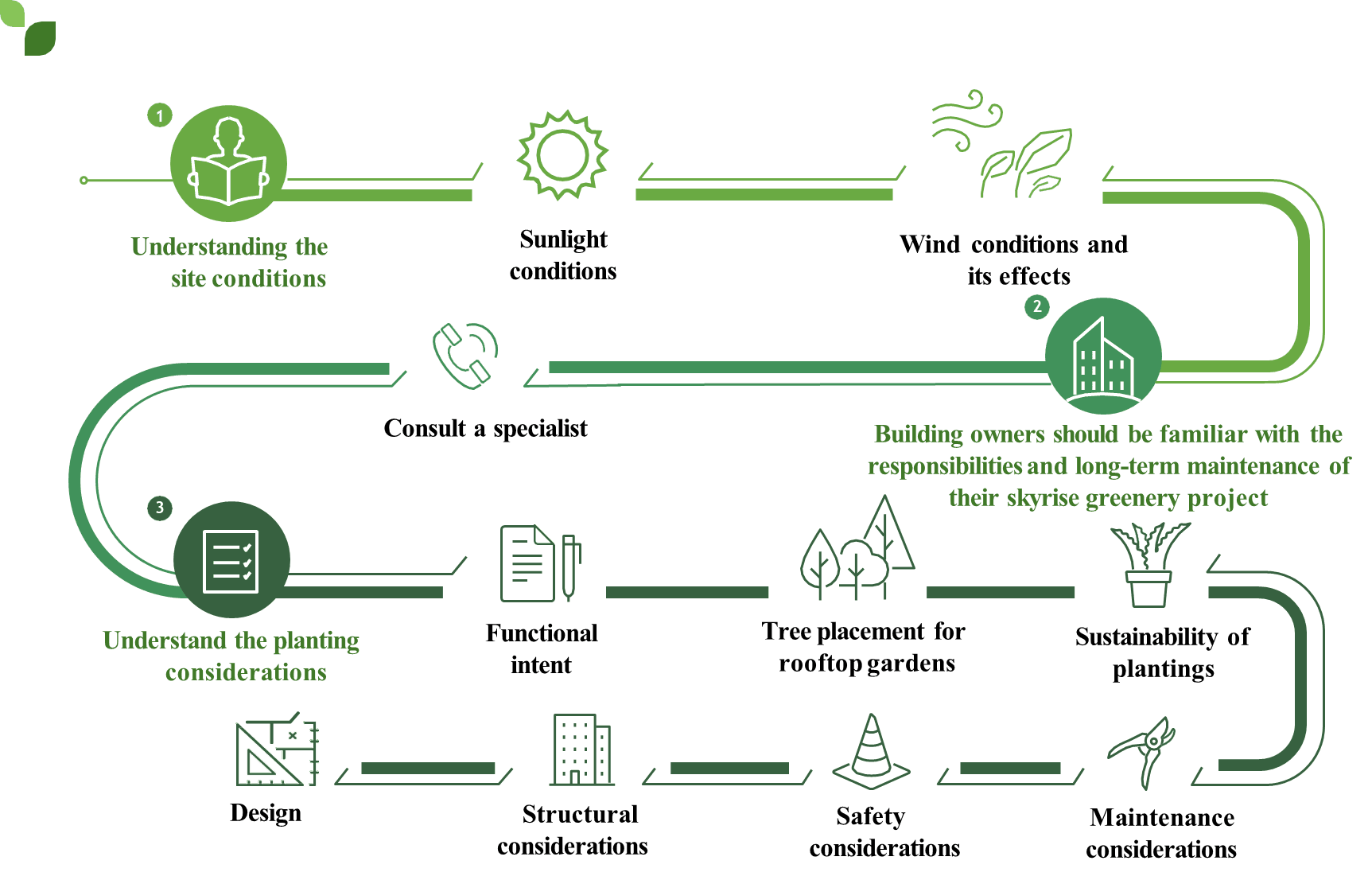 Steps to Implementing Effective Skyrise Greening